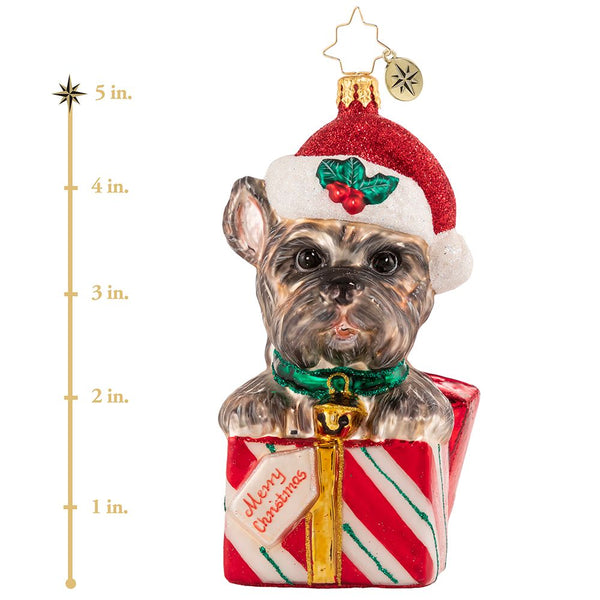 Christopher Radko The Gift Of Puppy Love Dog Ornament