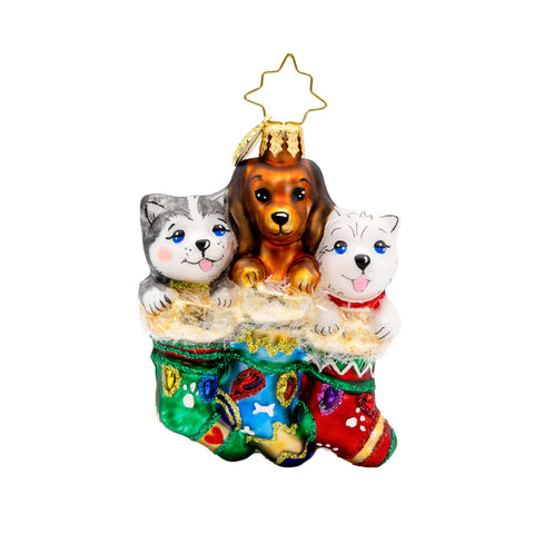 2025 Christopher Radko Puppy Presents Dog Gem Ornament