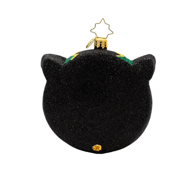 Christopher Radko HOOT OF THE NIGHT Owl Ornament
