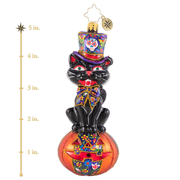 Christopher Radko Black Cat Magic Halloween Ornament