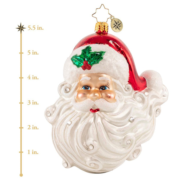 Christopher Radko Jolly With A Dash Of Holly Santa Face Ornament