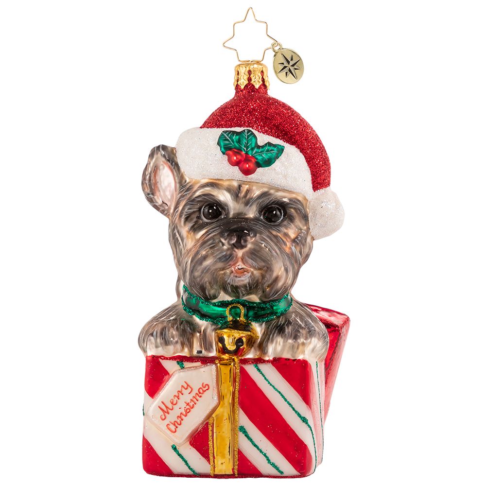Christopher Radko The Gift Of Puppy Love Dog Ornament